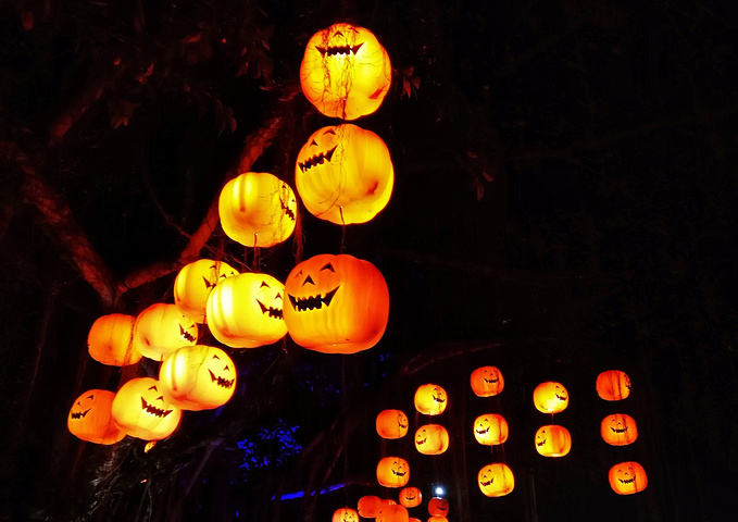 MK电竞-五粮液成立新零售公司 头部酒企争相渠道转型升级(图2) MK电竞