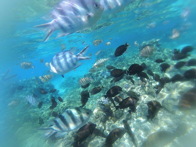 MK电竞_口罩概念再获追捧:英科医疗、道恩股份冲涨停 股东忙套现(图1) MK电竞