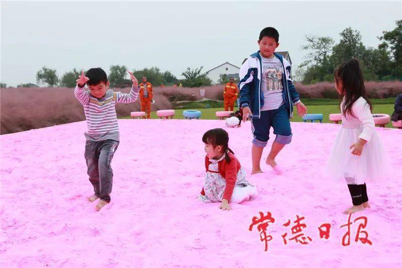 MK电竞：
国庆中秋常德人游常德之城头山：千年古城的粉红穿越(图4)